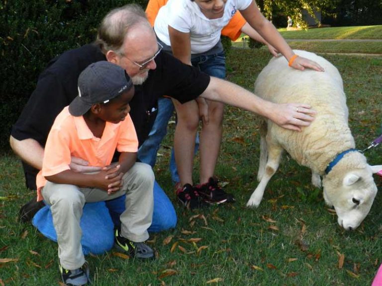 Pastor Meets Sheep